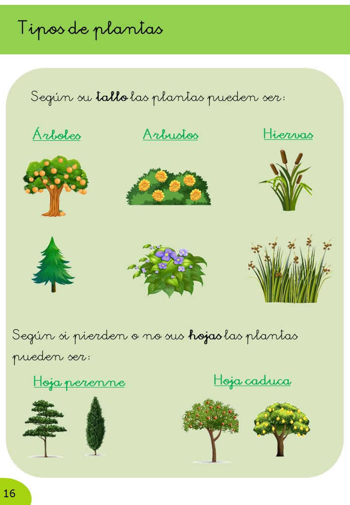 Ciencias Naturales 2º Primaria · 2º Trimestre - Imagen 4