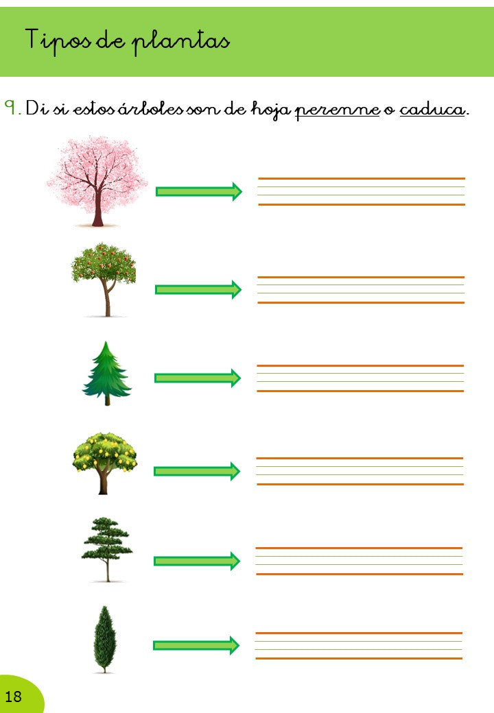 Ciencias Naturales 2º Primaria · 2º Trimestre - Imagen 6