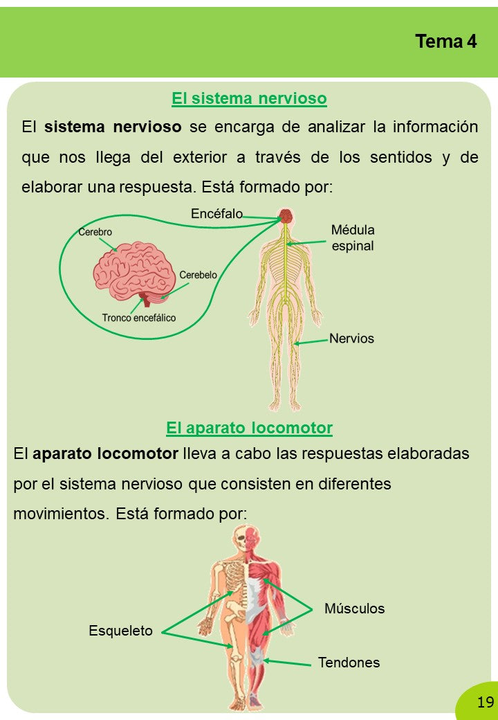 Ciencias Naturales 6º Primaria · 2º Trimestre - Imagen 9