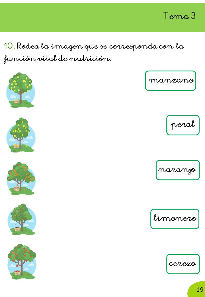 Ciencias Naturales 2º Primaria · 2º Trimestre - Imagen 7