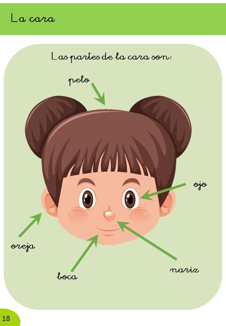 Ciencias Naturales 1º Primaria · 1er Trimestre - Imagen 5