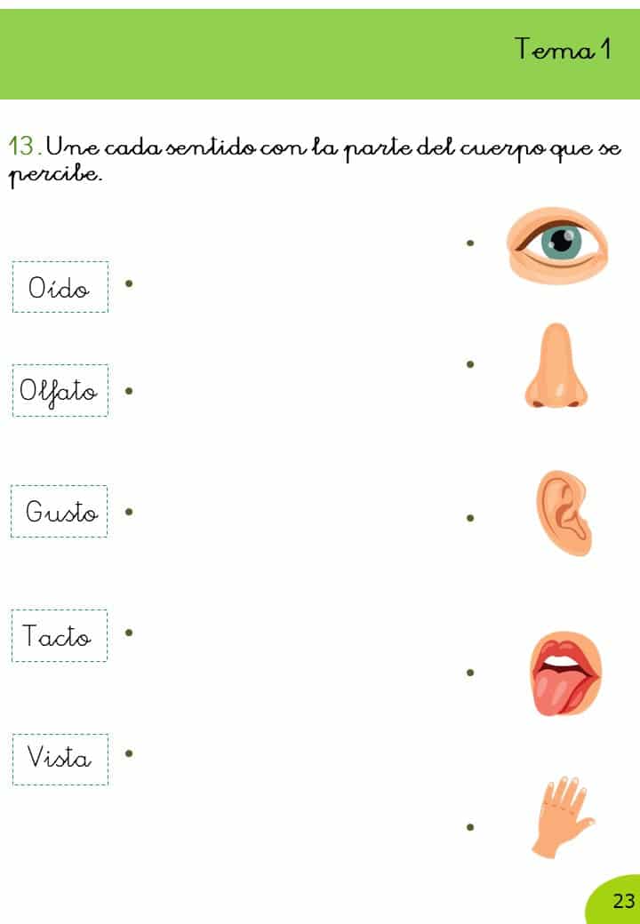 Ciencias Naturales 1º Primaria · 1er Trimestre - Imagen 7