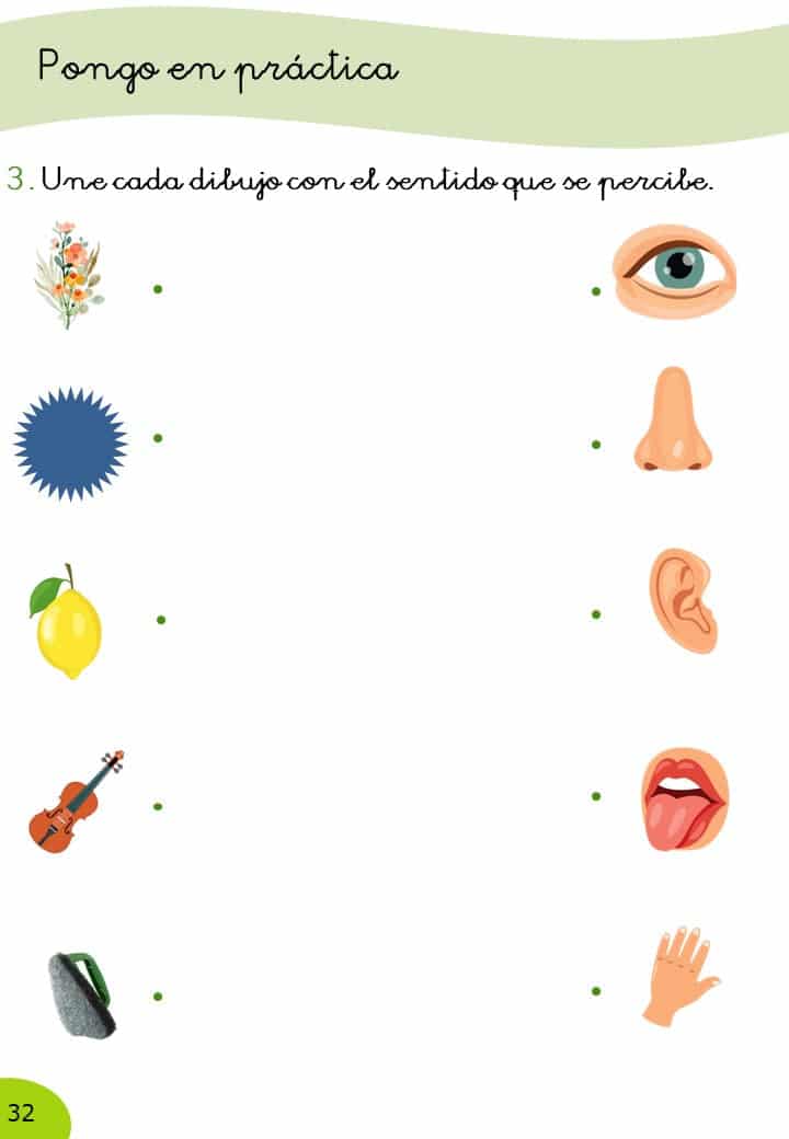 Ciencias Naturales 1º Primaria · 1er Trimestre - Imagen 8