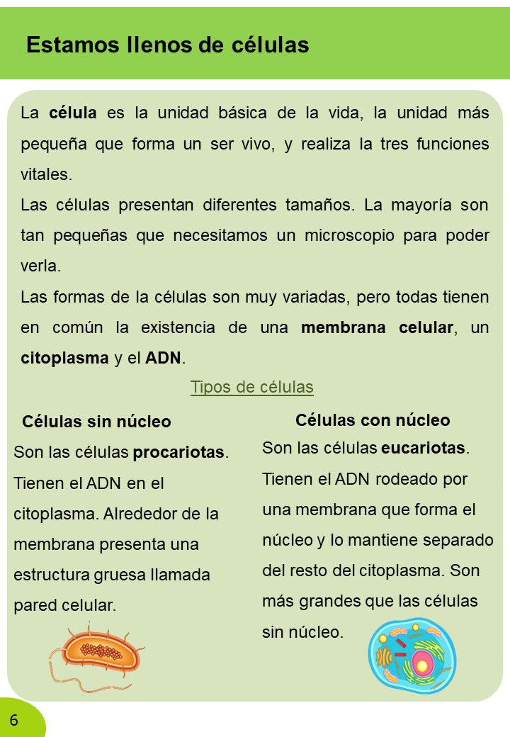 Ciencias Naturales 6º Primaria · 2º Trimestre - Imagen 4