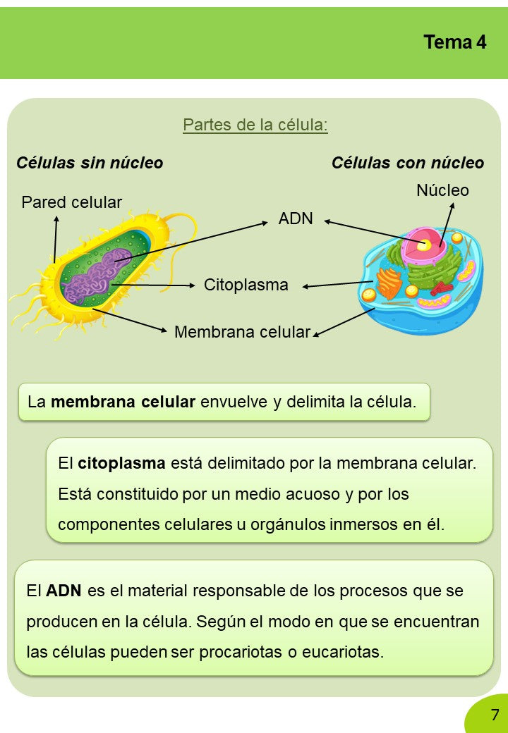 Ciencias Naturales 6º Primaria · 2º Trimestre - Imagen 5