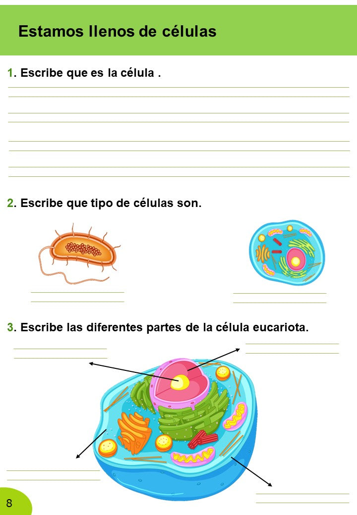 Ciencias Naturales 6º Primaria · 2º Trimestre - Imagen 6