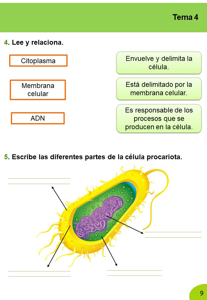 Ciencias Naturales 6º Primaria · 2º Trimestre - Imagen 7